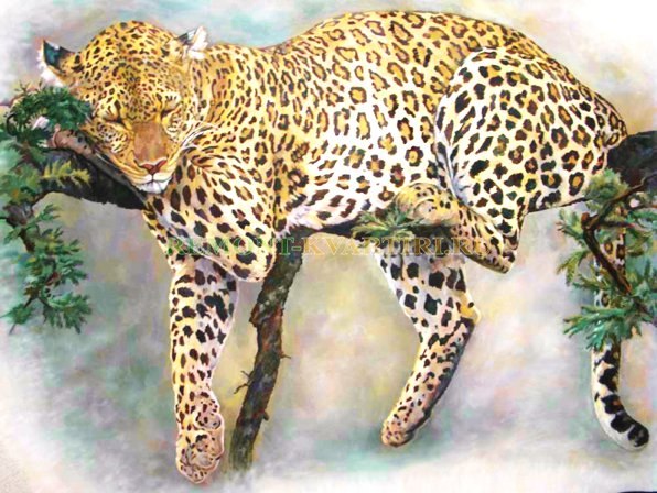 фото росписи «Спящий леопард»